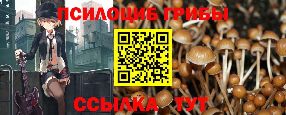 Галлюциногенные грибы Magic Shrooms  Вход с VPN  Карачаевск  Галлюциногенные грибы ЛСД 
